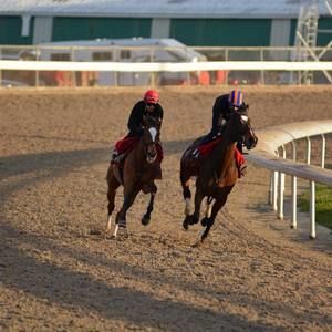 Meet your Posher, Declan